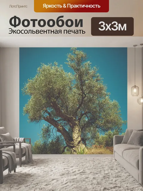 Фотообои большое оливковое дерево