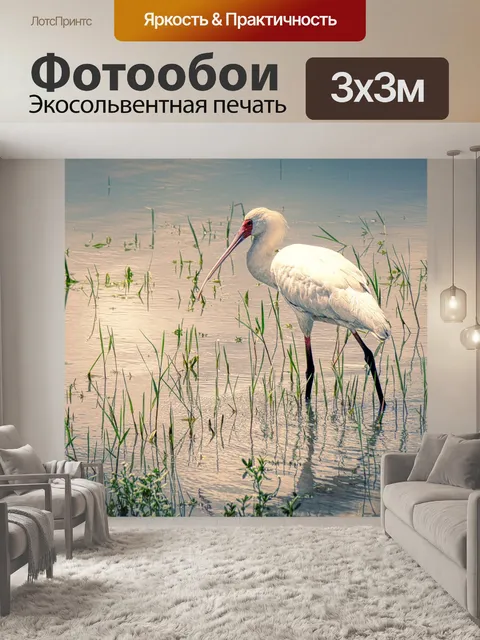 Фотообои Птица