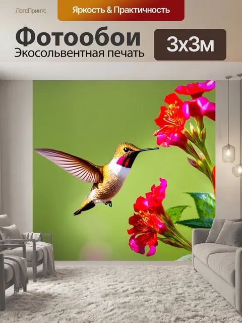 Фотообои картинка с птицей-колибри, летящей к цветущему цветку, с резкими и яркими цветами