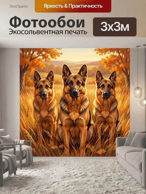 Фотообои Три овчарки в осеннем поле