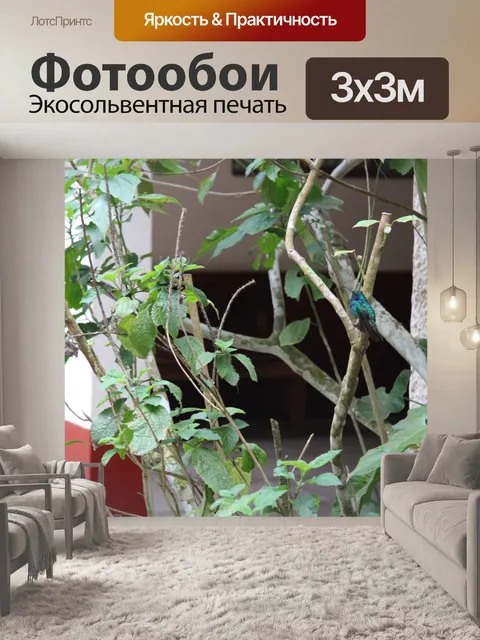 Фотообои Коста-Рика Колибри