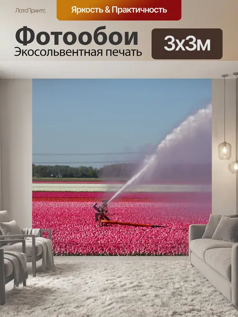 Фотообои Тюльпаны
