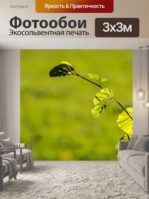 Фотообои Зеленые листья