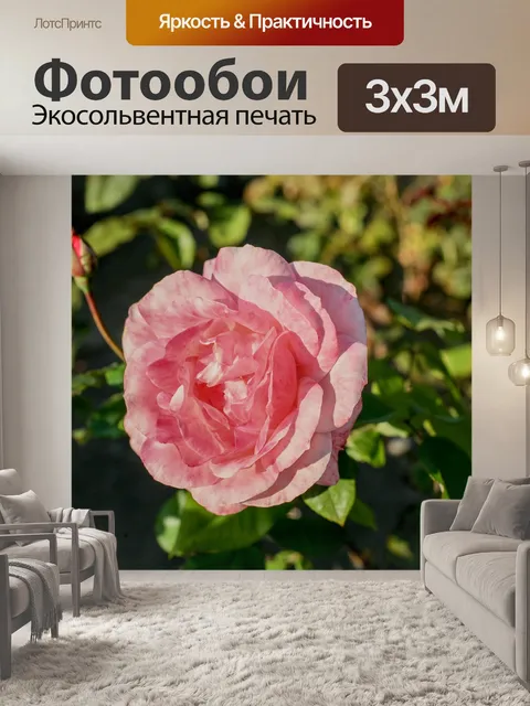 Фотообои Цветы листья