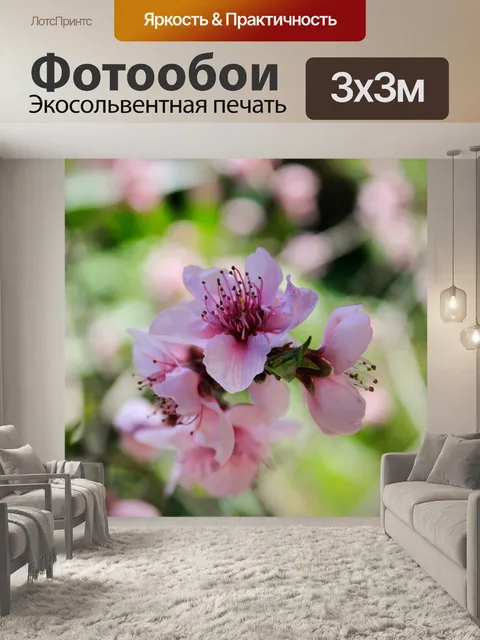Фотообои Персиковый цвет
