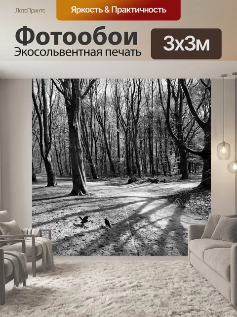 Фотообои Лес