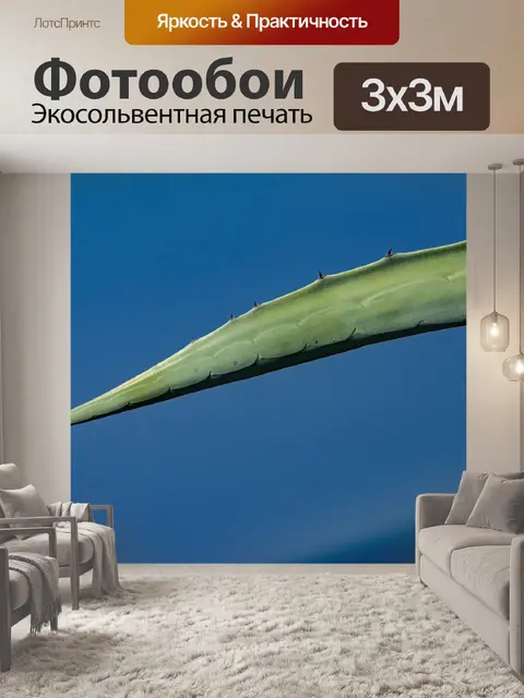 Фотообои Лезвие
