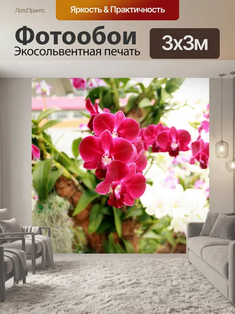 Фотообои Цветок орхидеи цветы