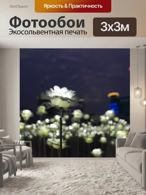 Фотообои Роза