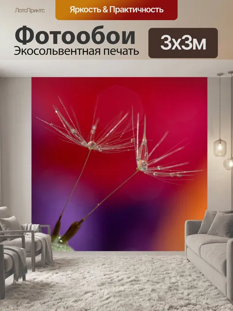 Фотообои Одуванчик