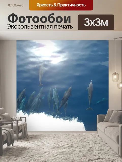 Фотообои Дельфин