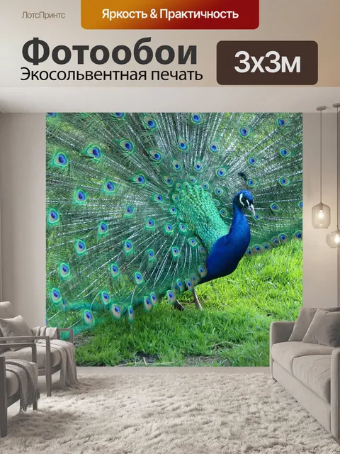 Фотообои Павлин