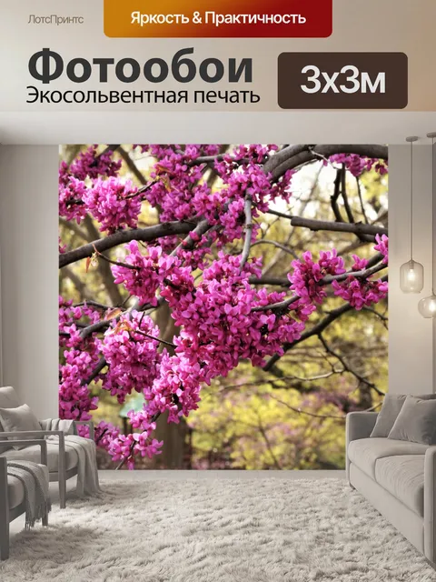 Фотообои Redbud Tree Blossoms