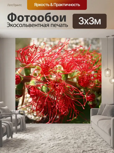 Фотообои Цветок