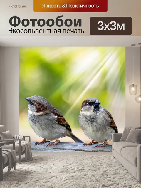Фотообои Птицы в утреннем солнечном свете