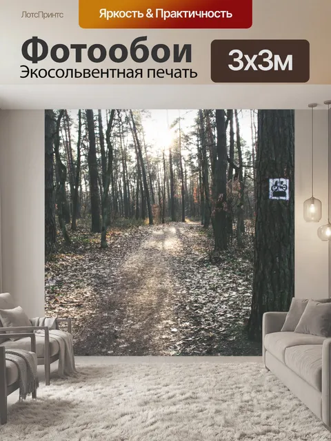 Фотообои Дорога в лесу