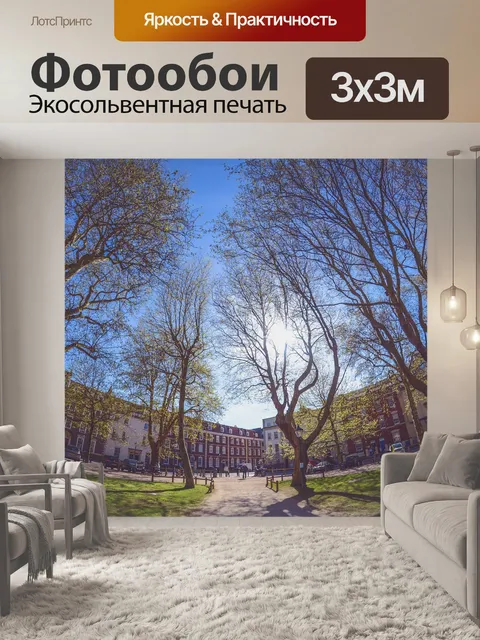 Фотообои Деревья