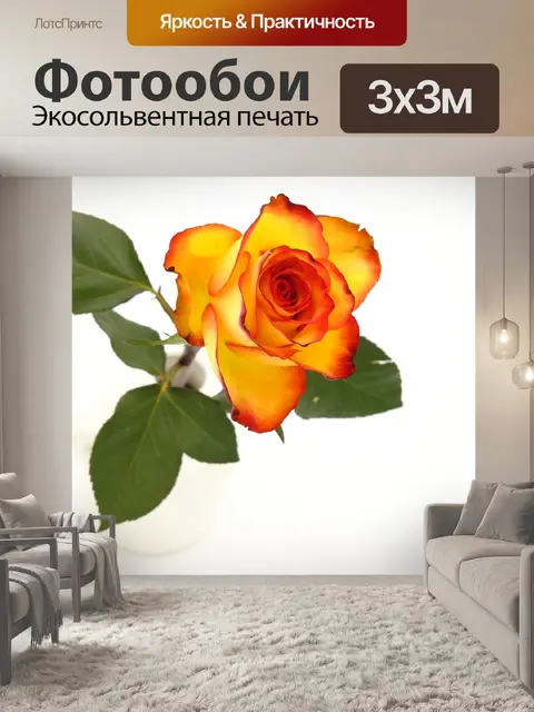 Фотообои Роза