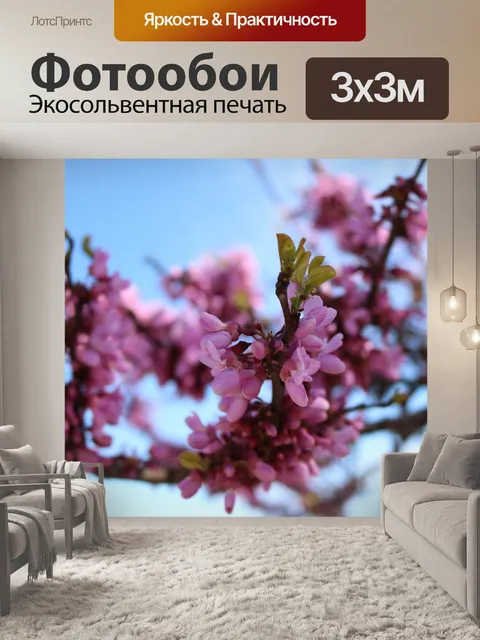 Фотообои Цветы