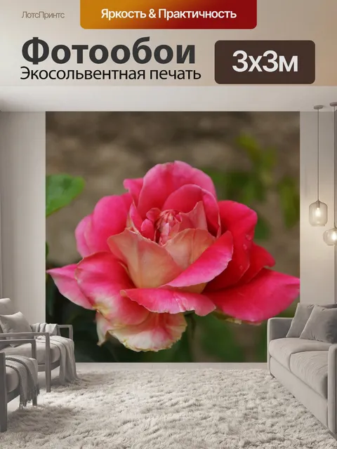 Фотообои Розы
