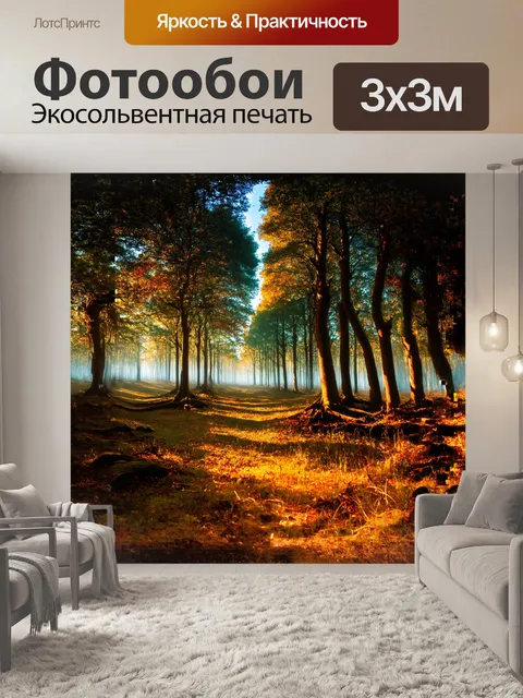 Фотообои древний лес, где каждое дерево повернуто так, словно тянет к небу, обрамленный ритмичными тенями, рисующими…