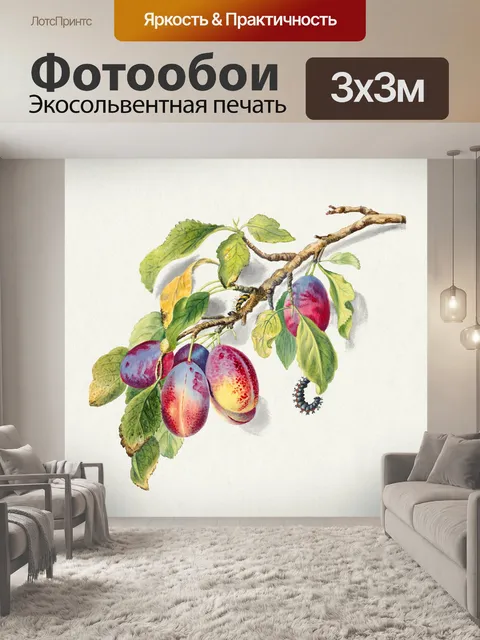 Фотообои Сливы старый винтаж