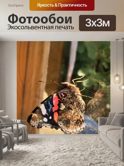 Фотообои Бабочка