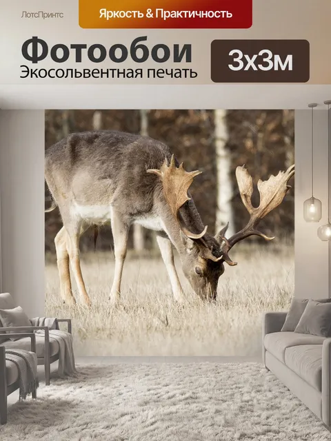 Фотообои Олень
