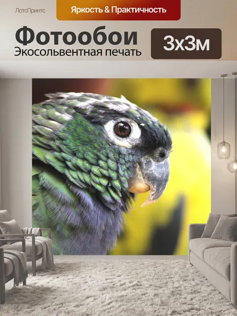 Фотообои Попугай