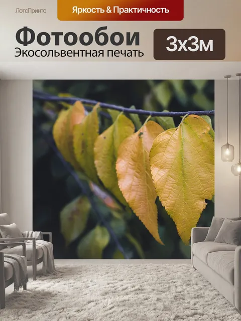 Фотообои Дерево