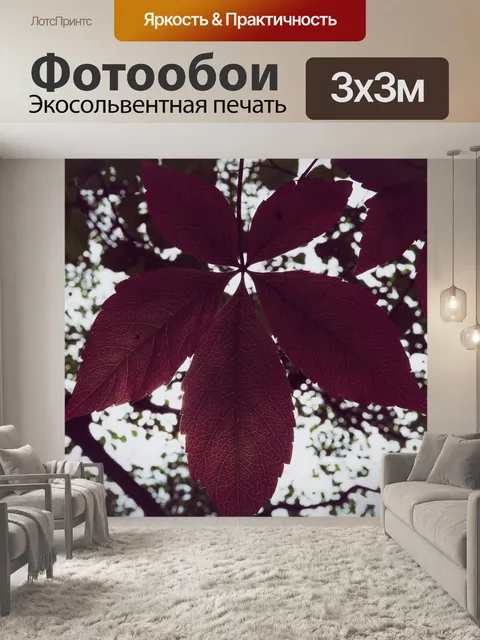 Фотообои Падение