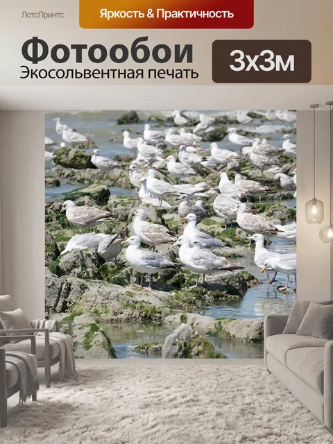 Фотообои Море