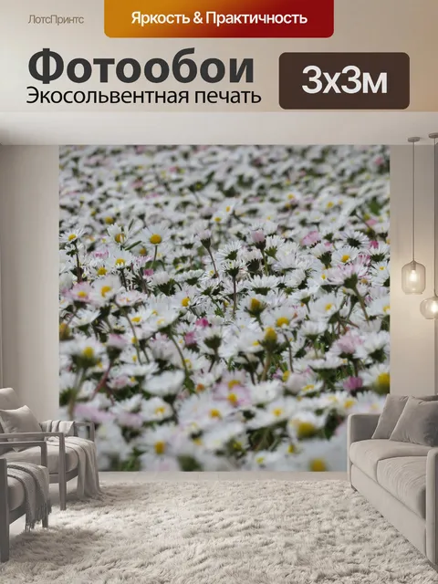 Фотообои Маргаритка