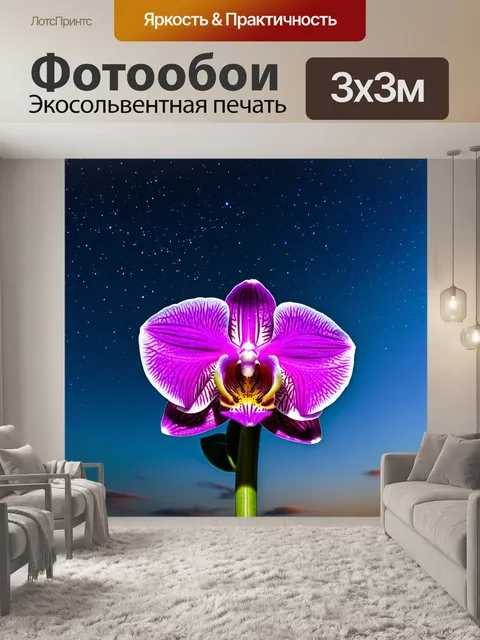 Фотообои орхидея на фоне вечернего неба с звездами