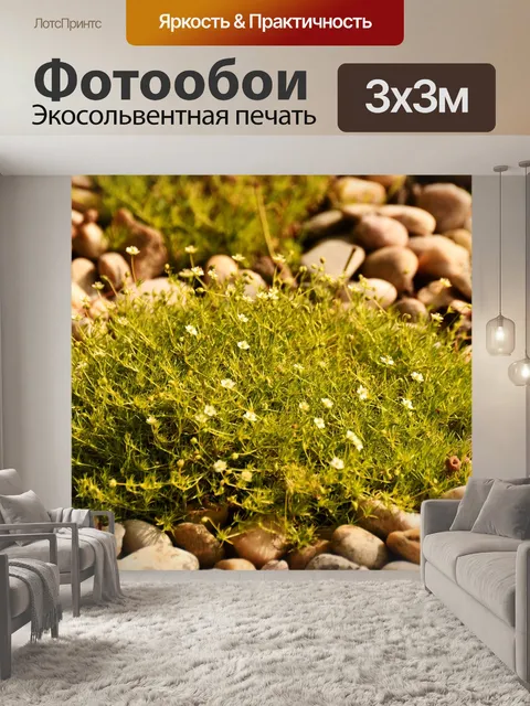 Фотообои Трава