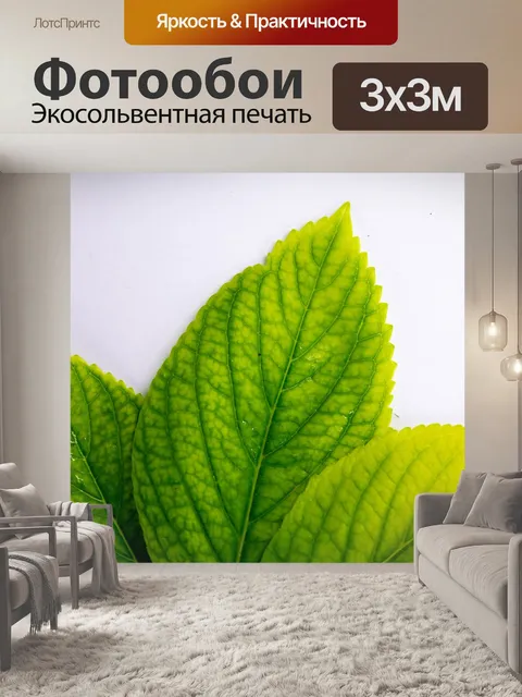 Фотообои Листья