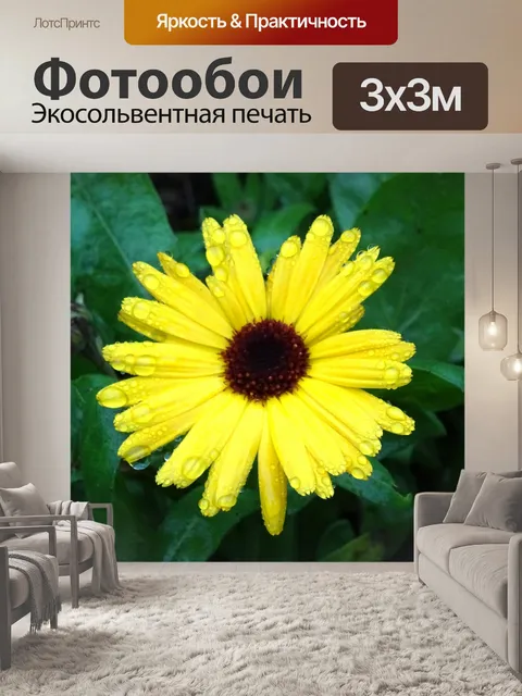 Фотообои Желтый цветок в дождь