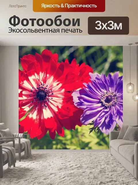Фотообои Цветок