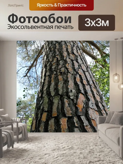 Фотообои Ель