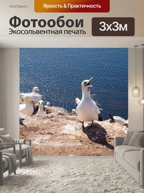 Фотообои Воды