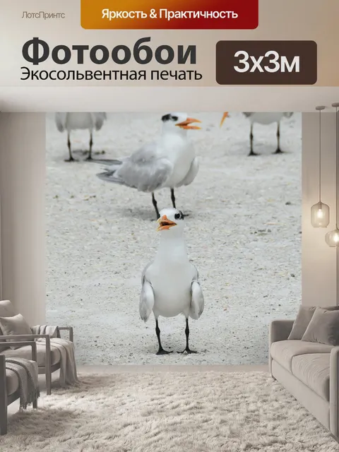 Фотообои Птицы