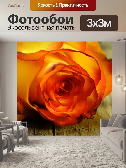 Фотообои Роза