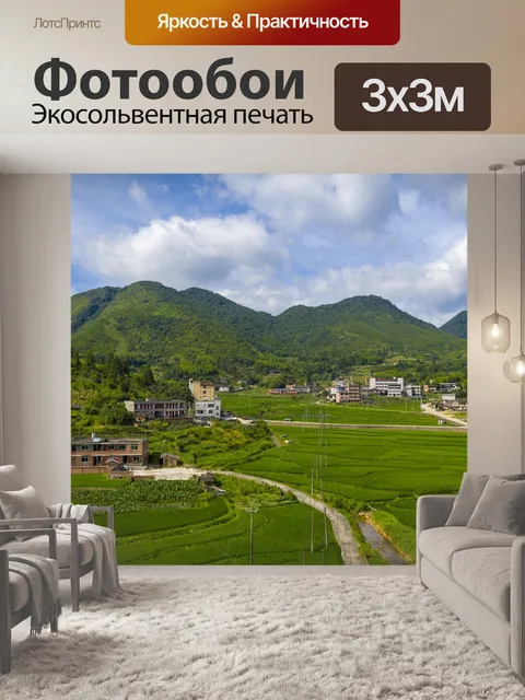 Фотообои Аэрофотосъемка