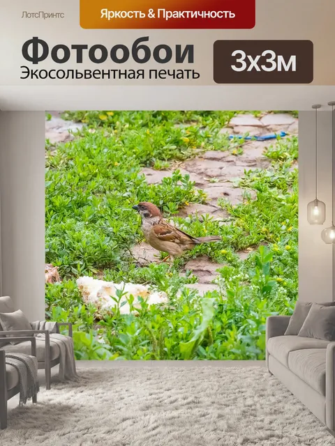 Фотообои Птицы