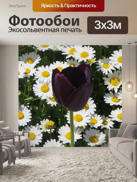 Фотообои Ромашки