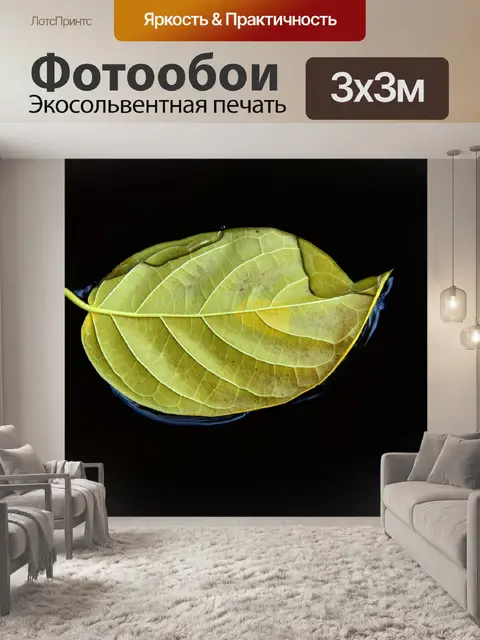 Фотообои Лист