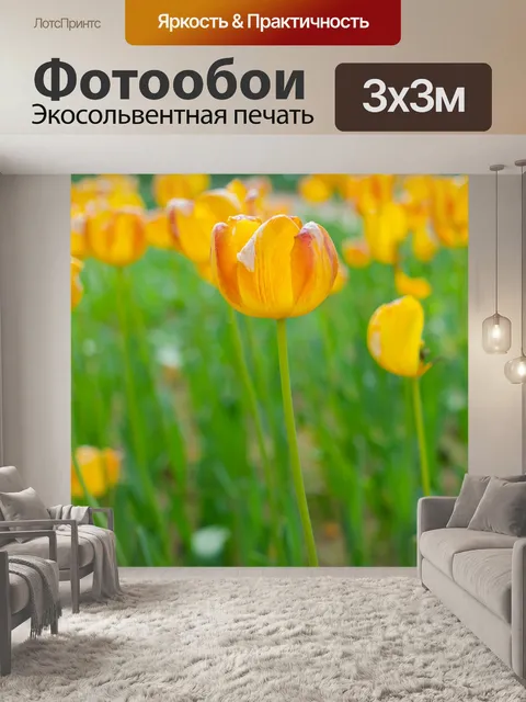 Фотообои Тюльпаны
