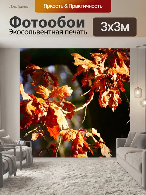 Фотообои Лист