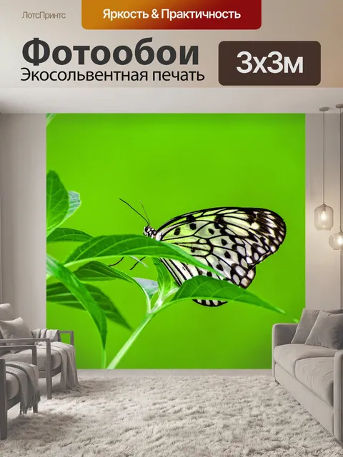Фотообои Бабочка