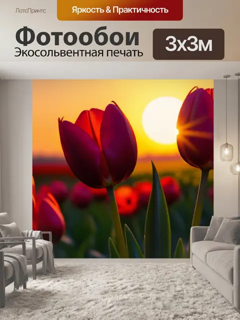 Фотообои тюльпаны на фоне заката